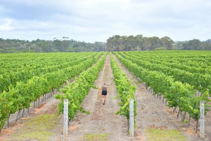 Margaret River Wine Region Australia