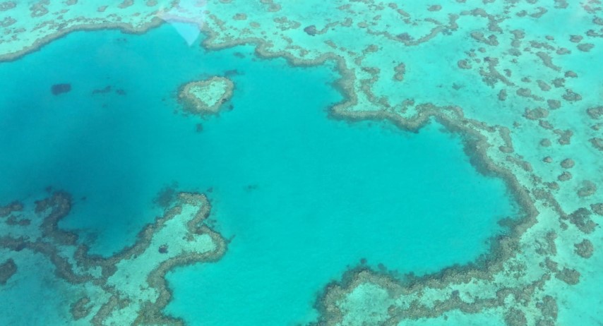 Exit45 Travels  - Australian Landmarks - Heart Reef taken from a window of a sea plane