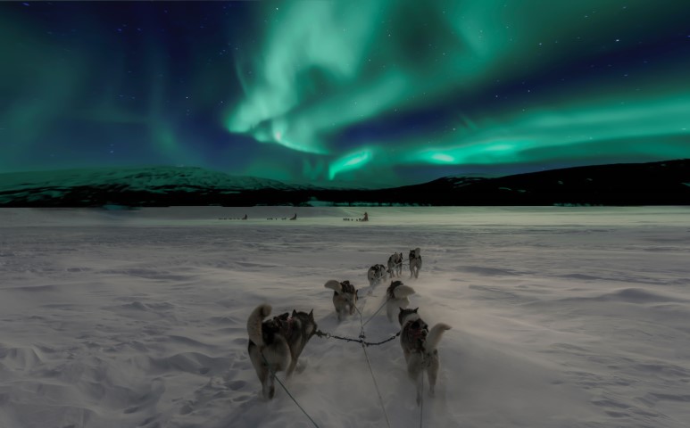 Exit45 Travels-Northern lights in Norway in January with dog sledding team in forefront