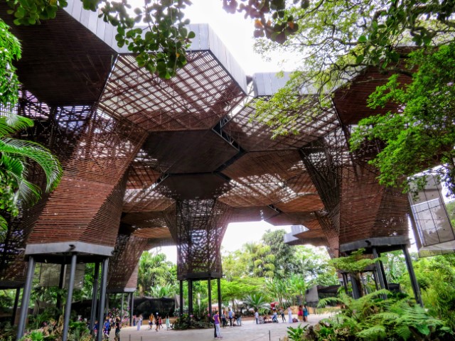 curved wooden structure in medellinn botanical gardens