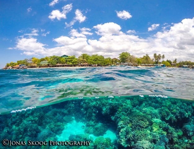 the underwater world of Moalboal in the philippines where you can live a monthly cost of living under 00