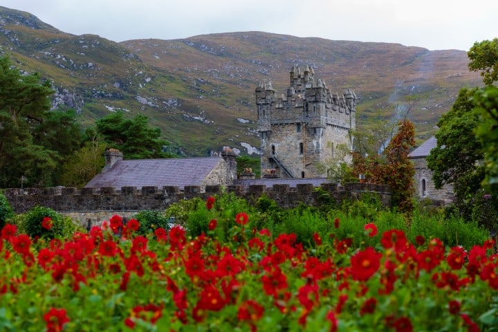 Flowers in front of a castle in Ireland. One of the best countries to visit in November.